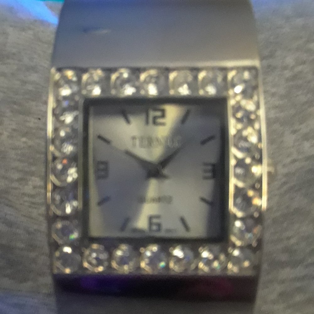 Silver Terner Watch